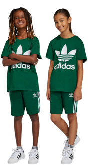 adidas Adicolor 3-stripes Broeken Kinder - Groen - Maat 147 - 152 CM Green