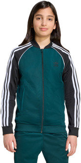 adidas Adicolor Sst Track Top Trainingspakken Kinder - Groen - Maat 129 - 134 CM - Poly Mesh Green