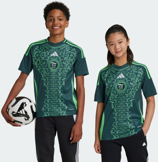 adidas Algeria 24 Away Truien/Replica's Kinder - Groen - Maat 135 - 140 CM - Poly Mesh Green