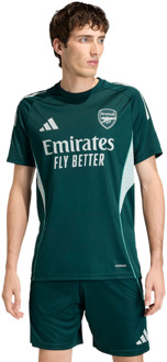 adidas Arsenal Tiro 25 Training Jersey Truien/Replica's Heren - Groen - Maat M - Poly Mesh Green