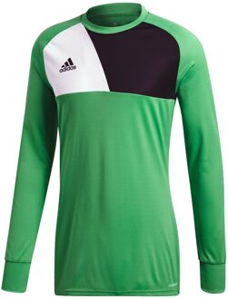 adidas Assita 17 GK Jersey Keepersshirt Heren  Sportshirt - Maat XL  - Mannen - groen/zwart/wit