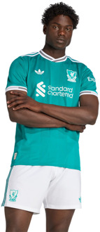 adidas Authentic Truien/Replica's Heren - Groen - Maat S - Poly Mesh Green