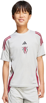 adidas Bellingham Tiro T-shirts Kinder - Grijs - Maat 147 - 152 CM - Poly Jersey Grey