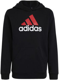adidas Big Logo 2 Sweater Met Capuchon Jongens zwart - 128