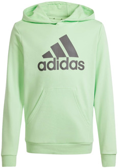 adidas Big logo essentials hoodie Groen - 140