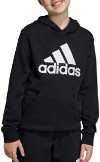 adidas Big Logo Essentials Hoodie Junior zwart - wit - 152