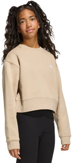 adidas Boxy Crew Sweatshirt Sweatshirts Kinder - Beige - Maat 147 - 152 CM - Katoen Jersey