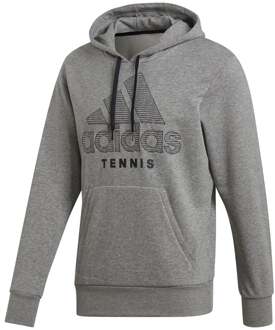 adidas Category Graphic Sweater met capuchon Heren grijs