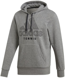 adidas Category Graphic Sweater met capuchon Heren grijs