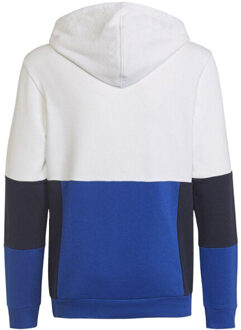 adidas Childrens/kids kleurblok hoodie Wit - 134