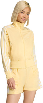 adidas Classic Trainingspakken Dames - Oranje - Maat 40 - Poly Mesh Orange