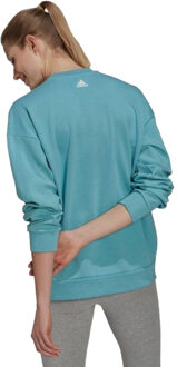 adidas Dames abstract sweatshirt - maat XS Blauw