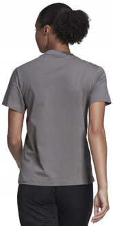 adidas Dames entrada 22 jersey Grijs - XXS