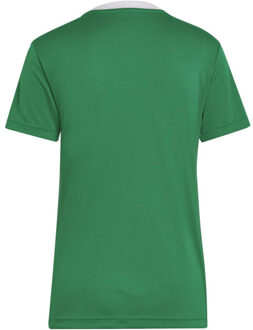 adidas Dames entrada 22 jersey Groen - S