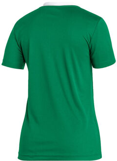 adidas Dames entrada 22 jersey - maat XL Groen