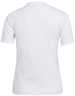 adidas Dames entrada 22 jersey - maat XXS Wit