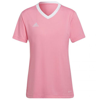 adidas Dames entrada 22 jersey Roze - XXS