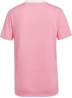 adidas Dames entrada 22 jersey Roze - XXS