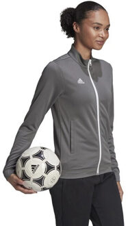 adidas Dames entrada 22 track jacket - maat XS Grijs