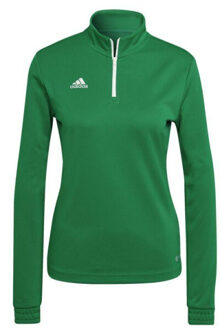 adidas Dames entrada 22 trainings top - maat M Groen