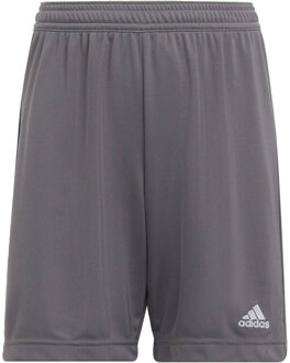 adidas Dames entrada 22 trainingsbroek sweat shorts Grijs - L