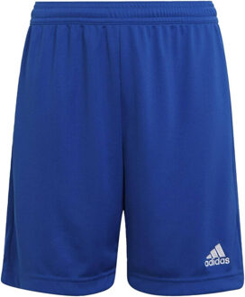 adidas Dames entrada 22 trainingsbroek sweat shorts - maat M Blauw