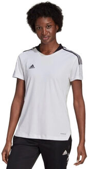 adidas Dames tiro 21 t-shirt Wit - XS