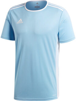 adidas Entrada 18 Jersey - Lichtblauw Voetbalshirt - XS