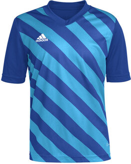 adidas Entrada 22 GFX Jersey Youth - Blauw Voetbalshirt - 116