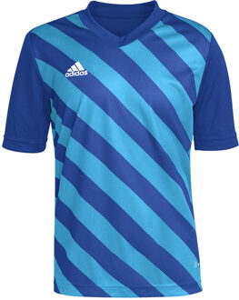 adidas Entrada 22 GFX Jersey Youth - Blauw Voetbalshirt - 128