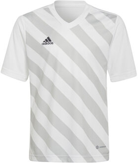 adidas Entrada 22 GFX Jersey Youth - Gestreepte Jersey Grijs - 116