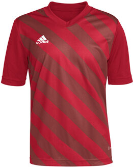 adidas Entrada 22 GFX Jersey Youth - Rood Voetbalshirt - 116