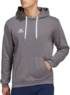 adidas Entrada 22 Hoodie Heren grijs - XL