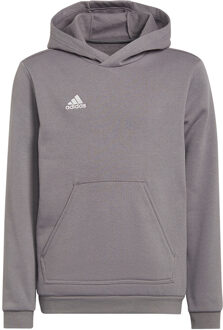 adidas Entrada 22 Hoodie Youth - Grijze Trui Kids Grijs - 116