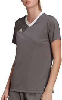 adidas Entrada 22 Jersey Women - Grijs Voetbalshirt - XS