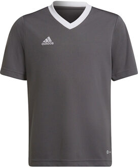 adidas Entrada 22 Jersey Youth - Grijs Sportshirt - 116