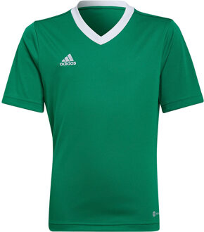 adidas Entrada 22 Jersey Youth - Groen Voetbalshirt - 116