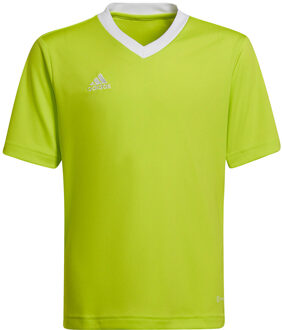 adidas Entrada 22 Jersey Youth - Kids Voetbalshirt Groen - 116