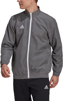 adidas Entrada 22 Presentation Jacket - Grijze Jas Heren Grijs - S