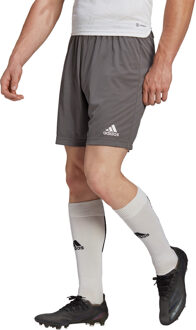 adidas Entrada 22 Shorts - Grijze shorts Heren Grijs