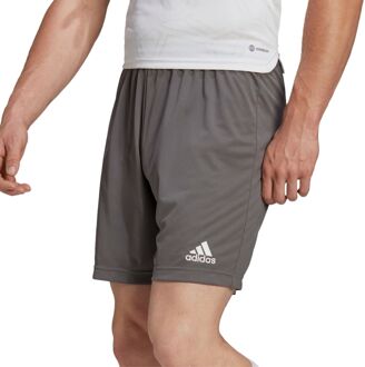 adidas Entrada 22 Shorts - Grijze shorts Heren Grijs