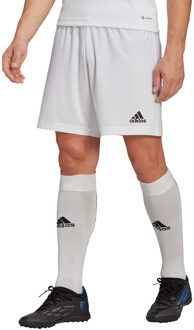 adidas Entrada 22 Shorts - Witte Shorts - XL