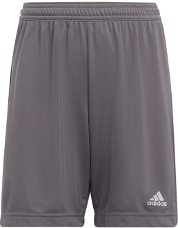 adidas Entrada 22 Shorts Youth - Voetbalshorts Grijs - 116