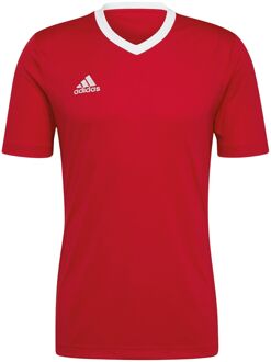 adidas Entrada 22 SS Shirt Heren