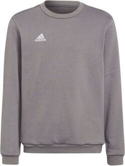 adidas Entrada 22 Sweat Top Youth - Grijze Sweater Grijs - 128