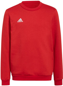 adidas Entrada 22 Sweat Top Youth - Rode Trui Rood - 164