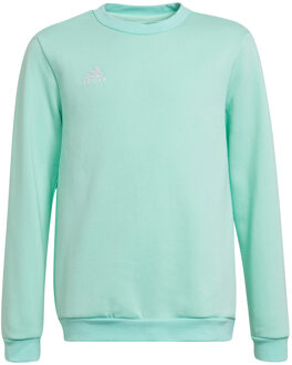 adidas Entrada 22 Sweat Top Youth - Sweater Kids Groen - 140