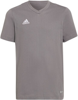 adidas Entrada 22 Tee Youth - Kids Shirt Grijs - 128