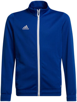 adidas Entrada 22 Track jacket Youth - Blauwe Jas Kids - 116