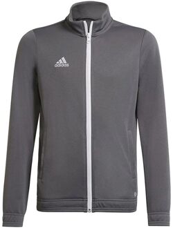 adidas Entrada 22 Track Jacket Youth - Kids Track jacket Grijs - 116